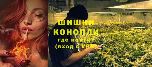 стафф Новодвинск