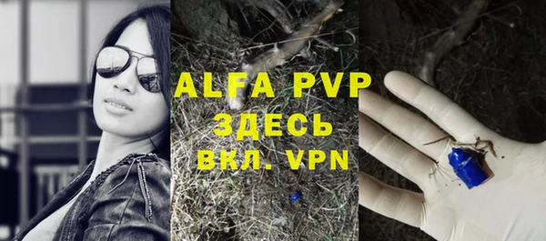 ГАЛЛЮЦИНОГЕННЫЕ ГРИБЫ Новозыбков