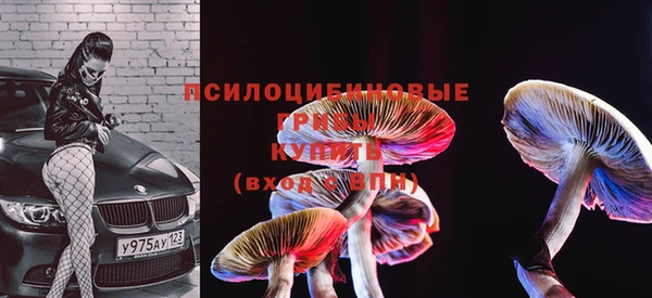 стафф Новодвинск