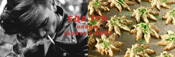 шишки Новокубанск