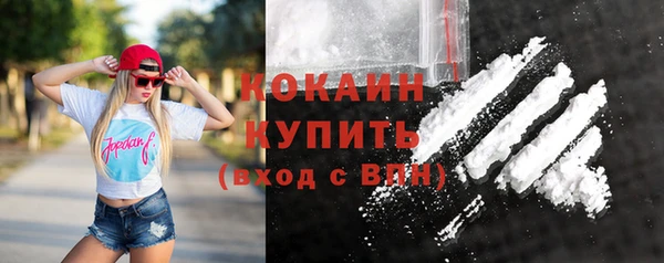 стафф Новодвинск