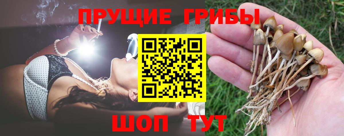 Псилоцибиновые грибы ЛСД  Псилоцибиновые грибы прущие грибы  наркотики  Канаш  Вход с VPN 
