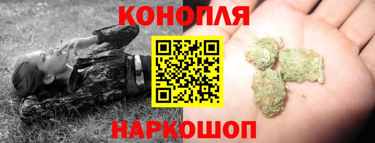 Конопля Amnesia  Марихуана планчик  Канаш  Каннабис сатива  Шишки марихуана Bruce Banner 